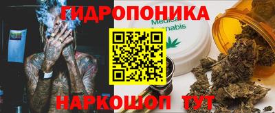 гидропоника Кунгур