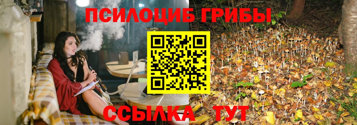 Галлюциногенные грибы Psilocybe  Вход с VPN  Галлюциногенные грибы мухоморы  Иваново 
