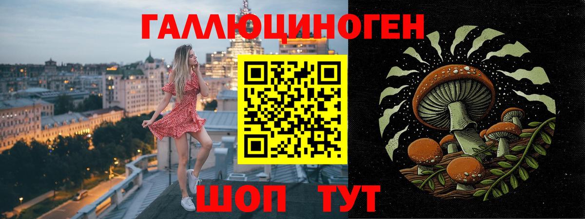 Галлюциногенные грибы Cubensis Иваново
